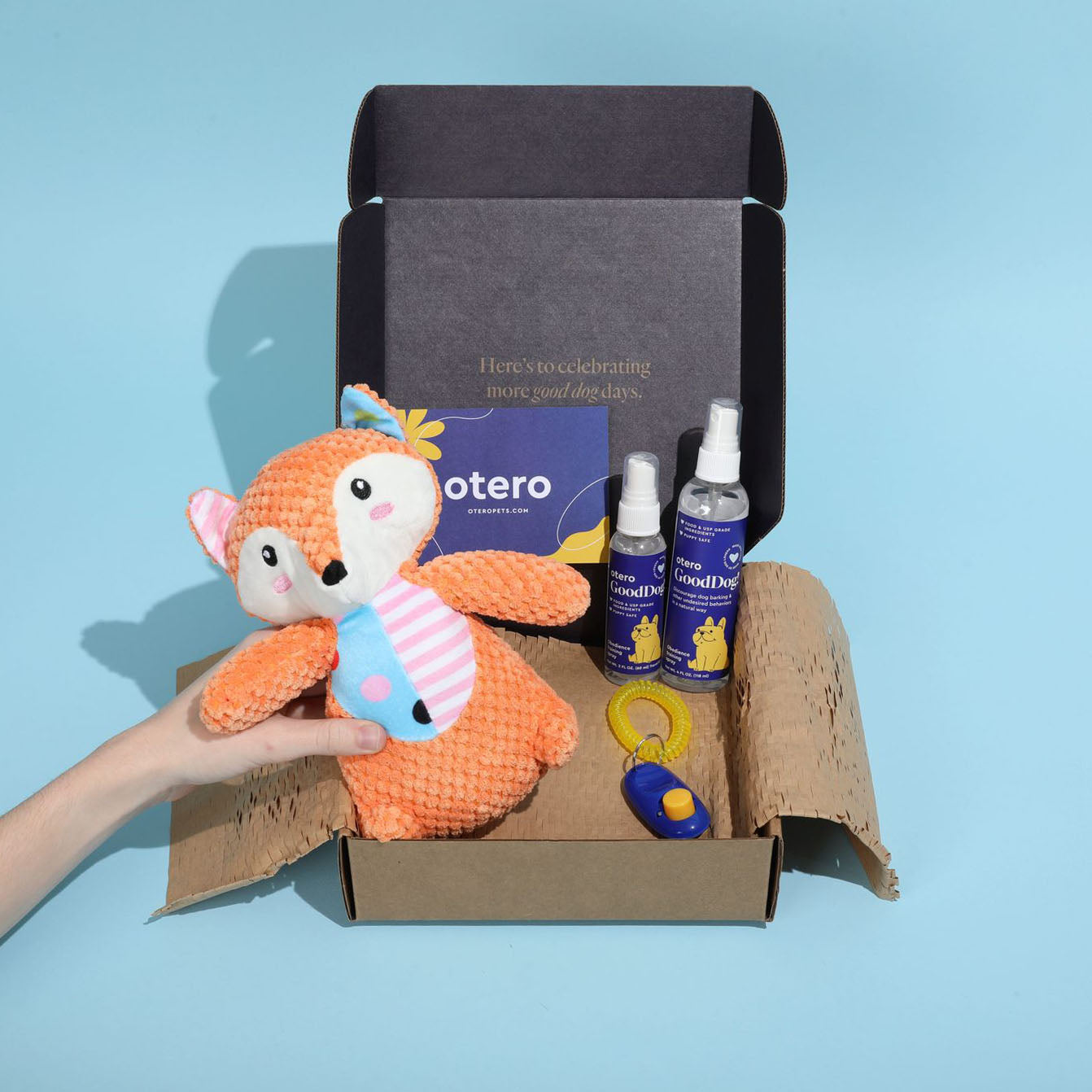 GoodDog! Training Starter Kit