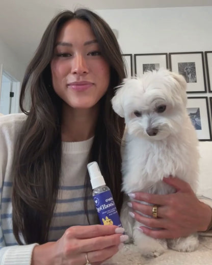 GoodDog! Obedience Training Spray